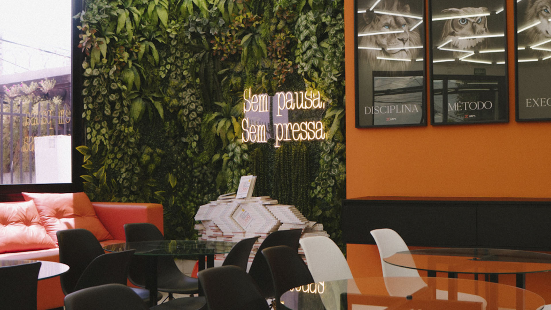 galeria ipm pos _0010_IPM04345