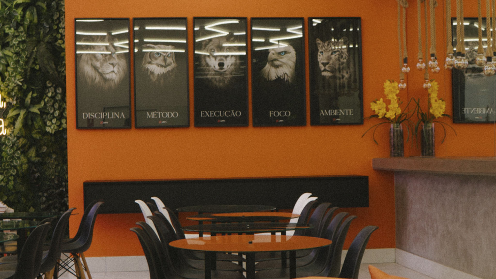 galeria ipm pos _0011_IPM04339