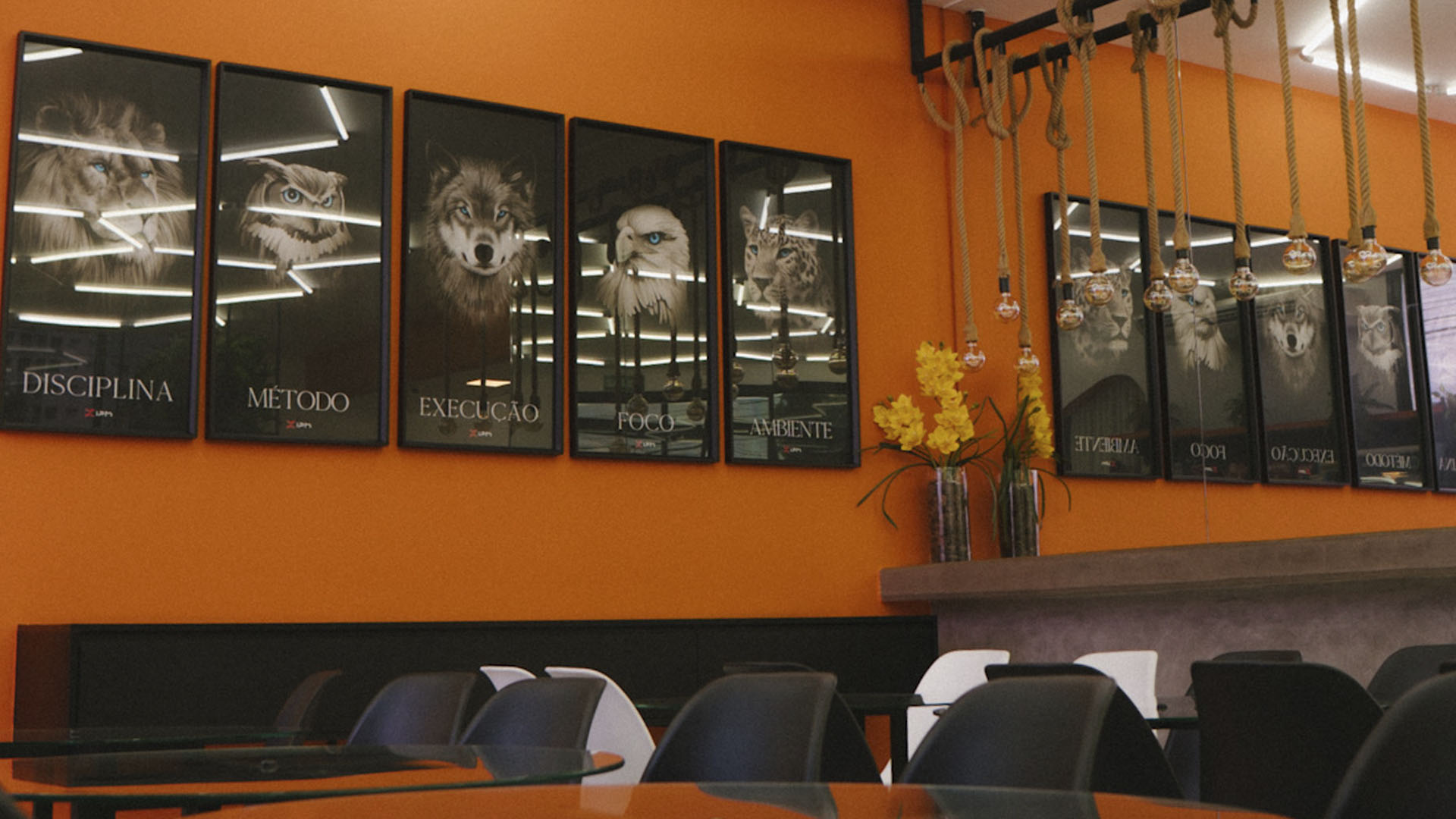 galeria ipm pos _0015_IPM04306